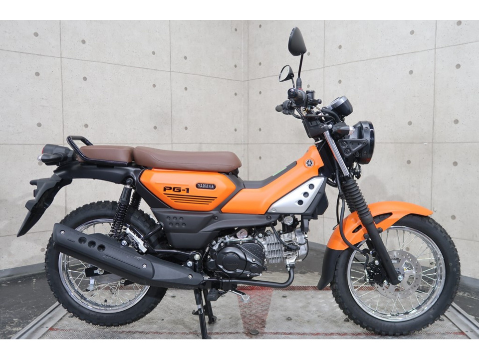 Yamaha pg-1 2024