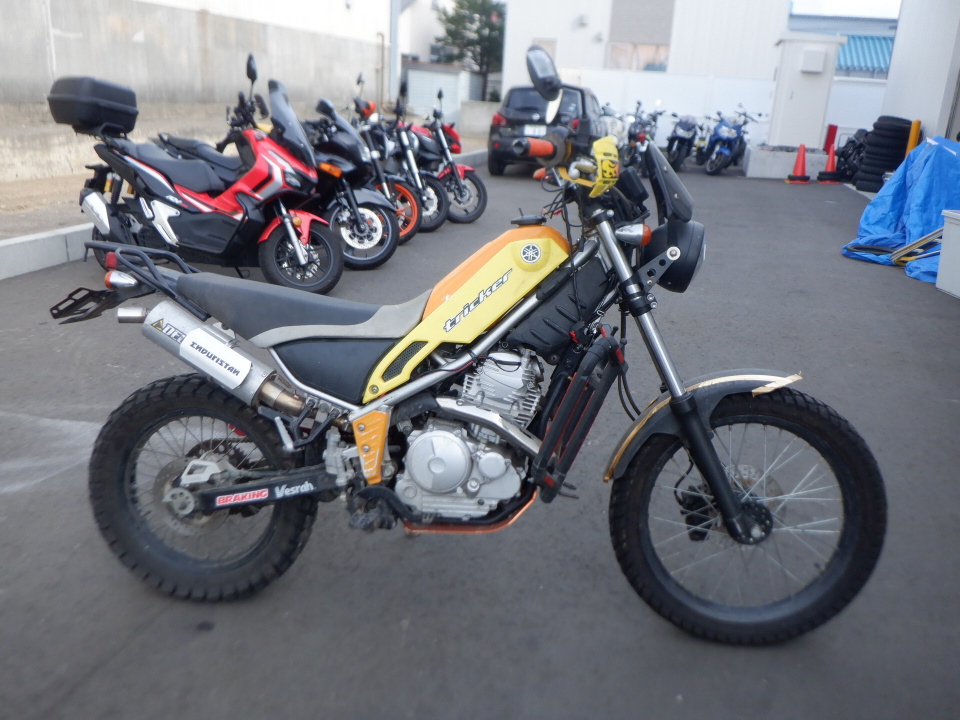 Yamaha TRICKER 2004