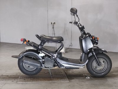 Honda ZOOMER 2004