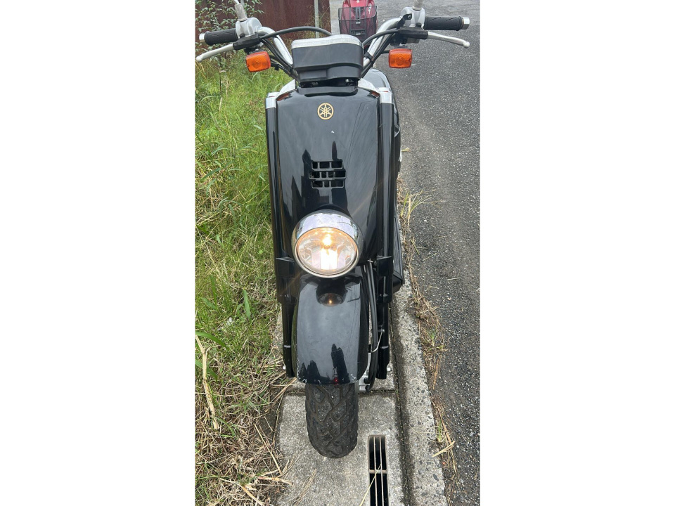 Yamaha VOX