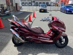 Honda FORZA 2007