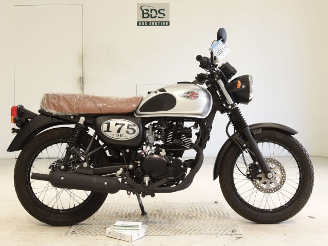 Kawasaki W175SE 2010