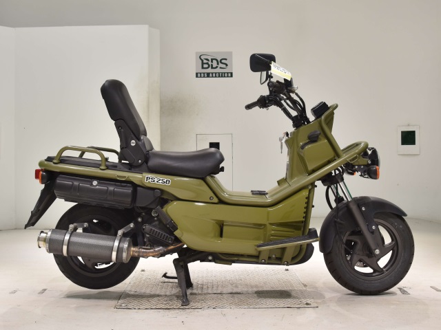 Honda PS250 BIG RUCKUS 2006
