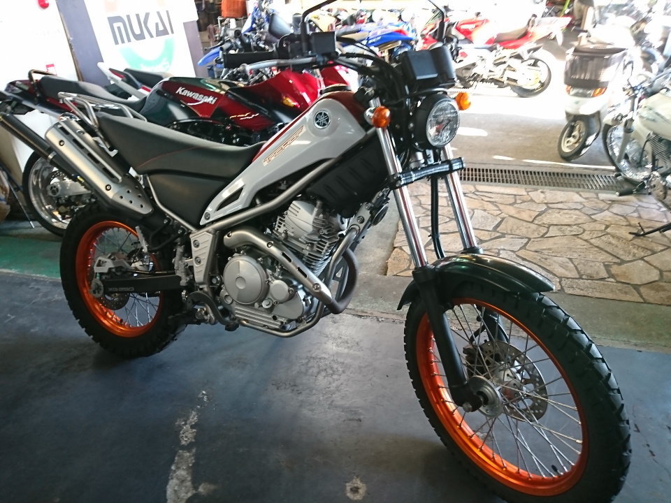 Yamaha TRICKER 2014