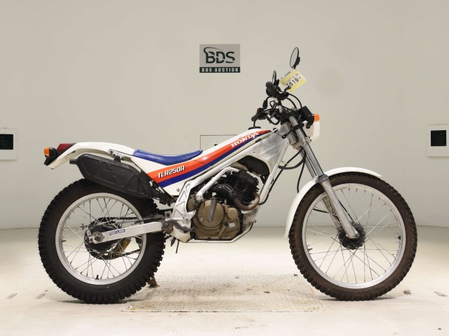 Honda TLR250R 1986