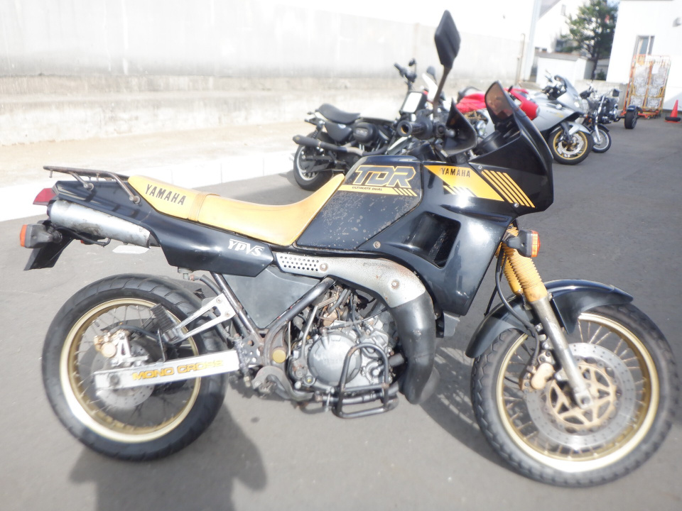 Yamaha TDR250 1988