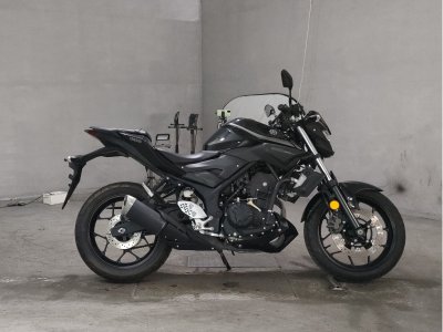 Yamaha MT-25 2019