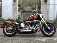 HD FATBOY FLSTF 2011