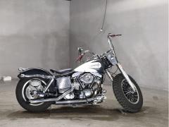 HD ELECTRA GLIDE FLH1340 2021