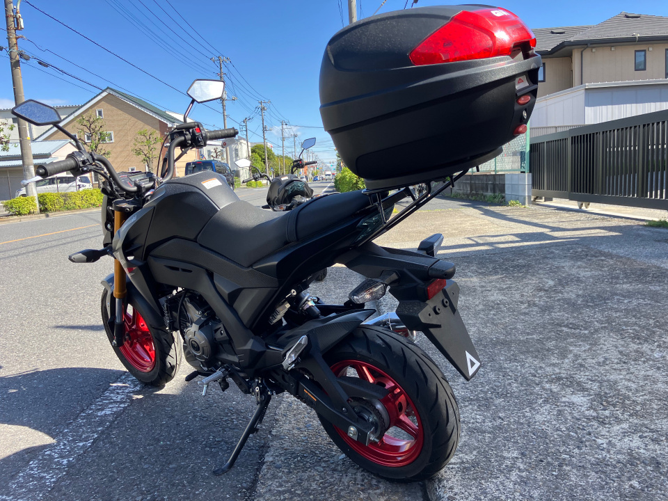 Kawasaki Z125 PRO 2021