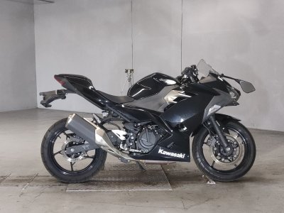Kawasaki NINJA250 2019