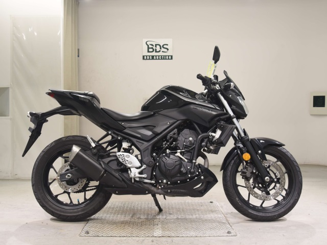 Yamaha MT-25 2018