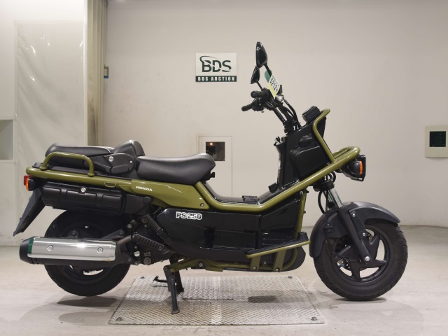 Honda PS250 BIG RUCKUS 2004