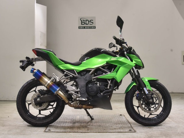 Kawasaki Z250SL 2016