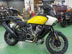 HD PAN AMERICA1250 S 2023