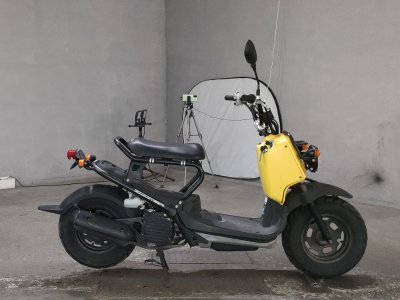 Honda ZOOMER 2008