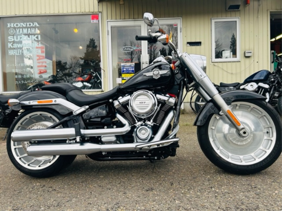 HD FATBOY FLFB1745 2018