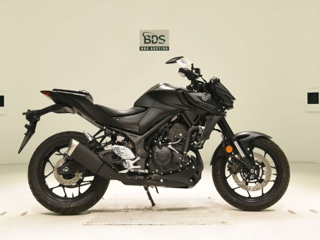 Yamaha MT-25 2022