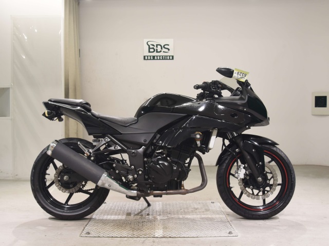 Kawasaki NINJA250R