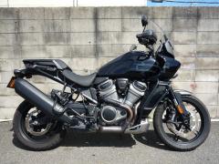 HD PAN AMERICA1250 S 2021