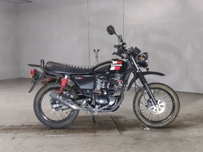 Kawasaki W175 TR 2020