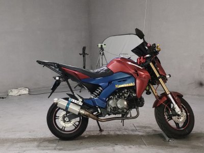 Kawasaki Z125 PRO 2016