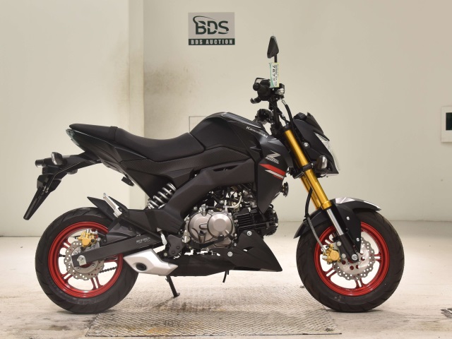 Kawasaki Z125 PRO 2021