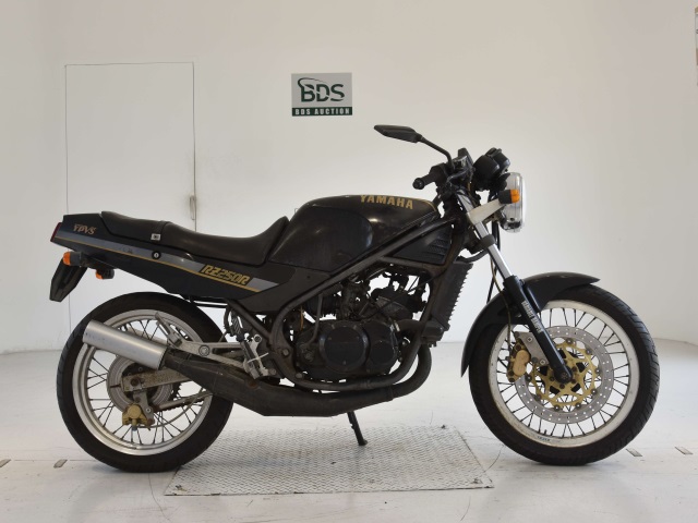 Yamaha RZ250R 1986