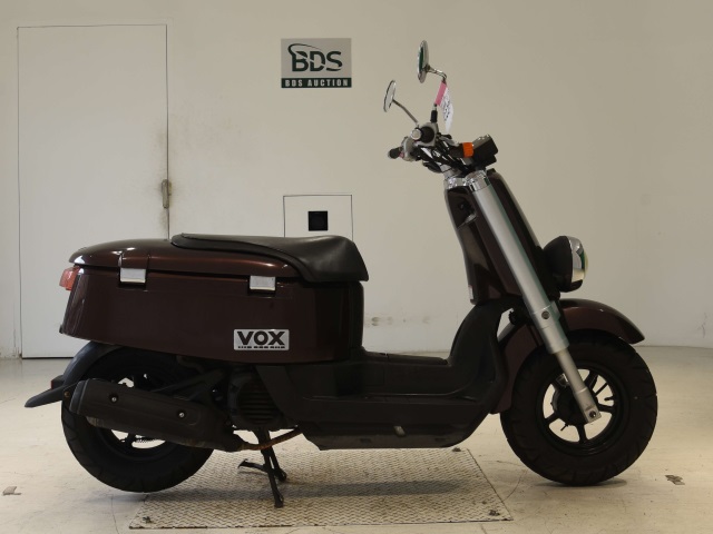 Yamaha VOX 2010