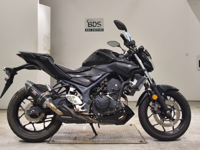 Yamaha MT-25 2017