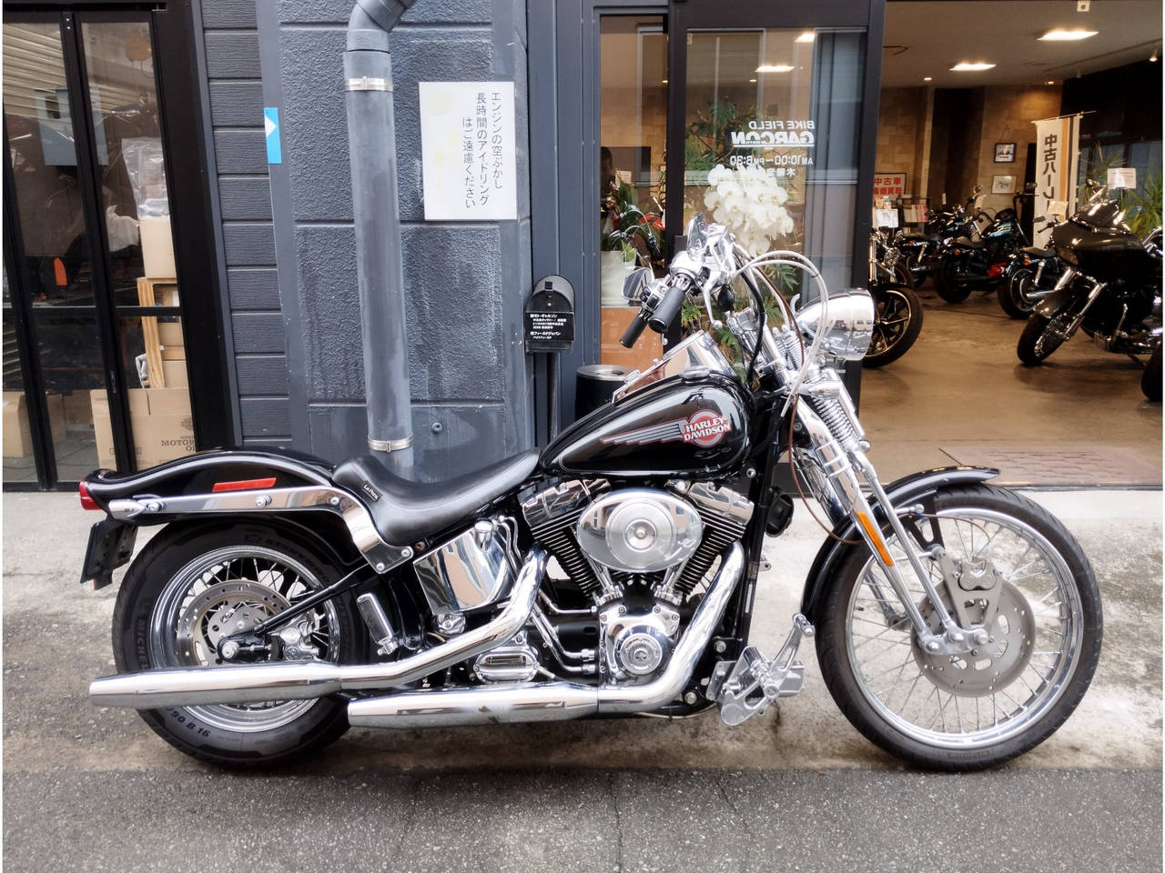 HD SPRINGER SOFTAIL FXSTS1340 2005