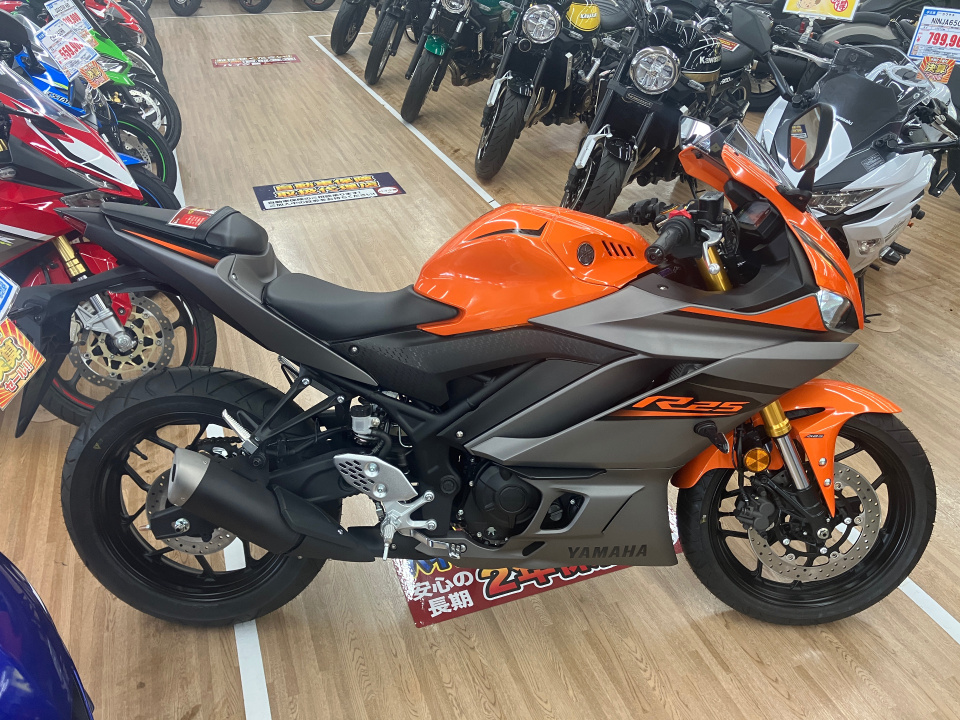 Yamaha YZF-R25 2022