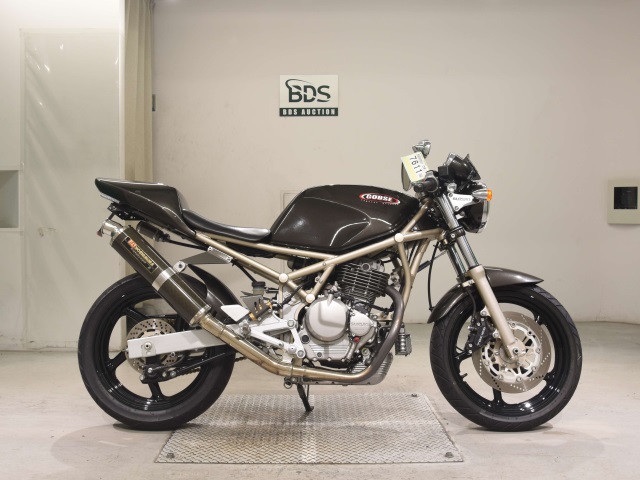 Suzuki GOOSE250 1992