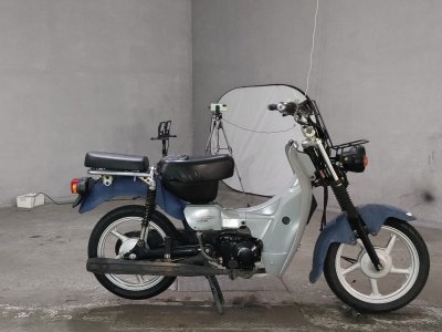 Suzuki BIRDIE90