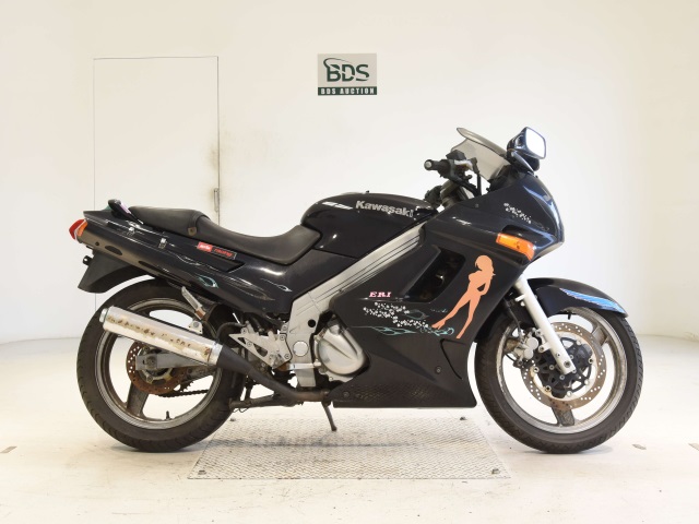 Kawasaki ZZ-R250 2002