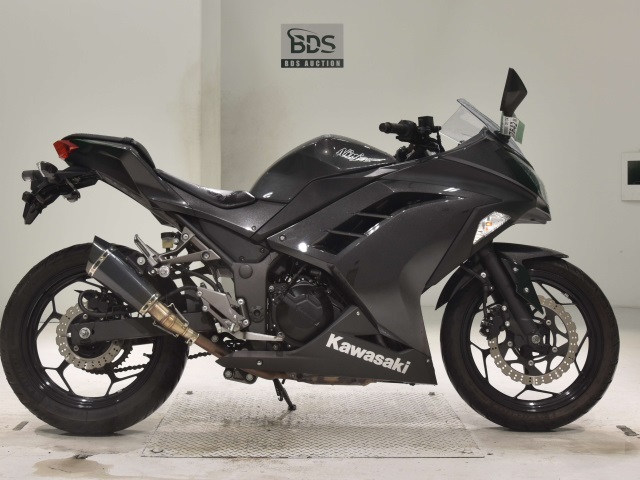 Kawasaki NINJA250 2016