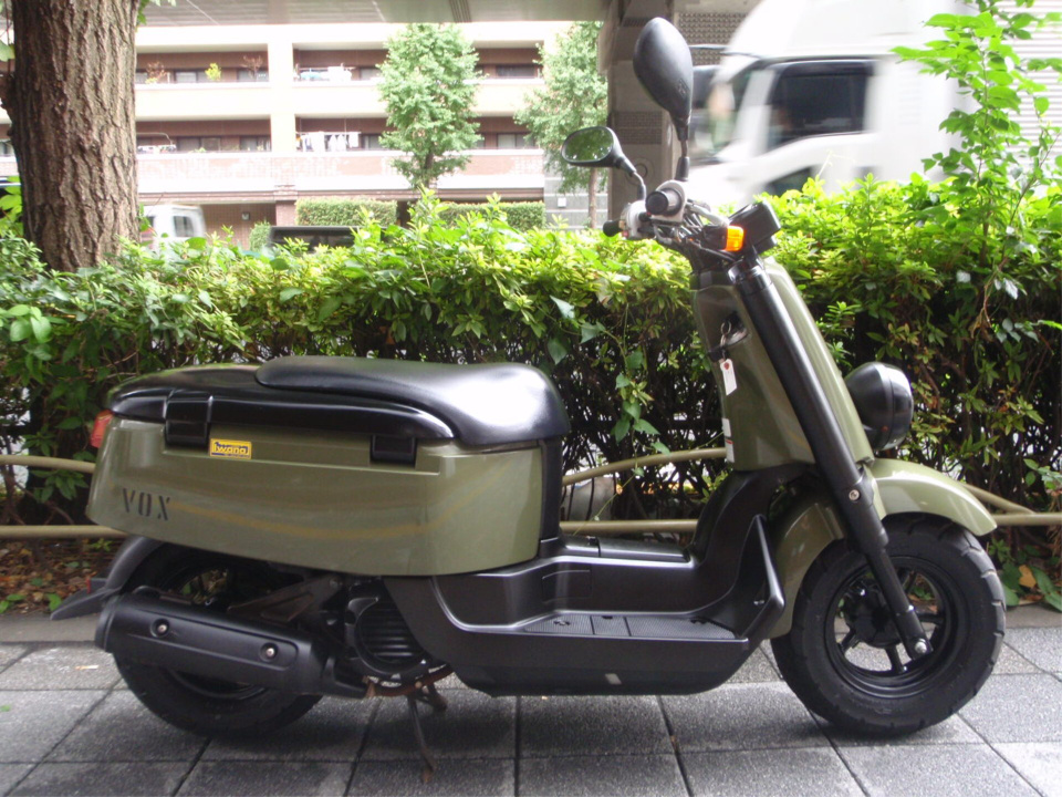 Yamaha VOX 2010