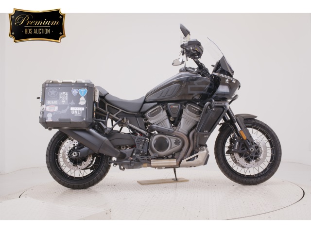 HD PAN AMERICA1250 S 2024