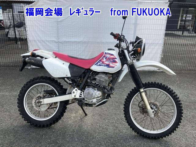 Honda XR250 BAJA 2000