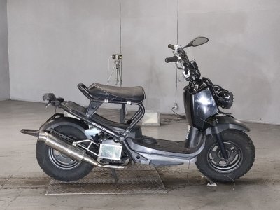 Honda ZOOMER 2009