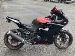 Kawasaki NINJA250R 2010