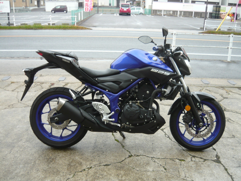 Yamaha MT-25 2019
