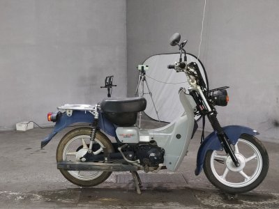 Suzuki BIRDIE90