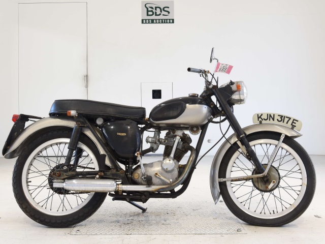 Triumph T20 TIGER CUB