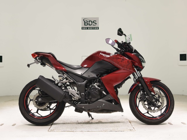 Kawasaki Z250 2013