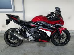 Suzuki GSX250R