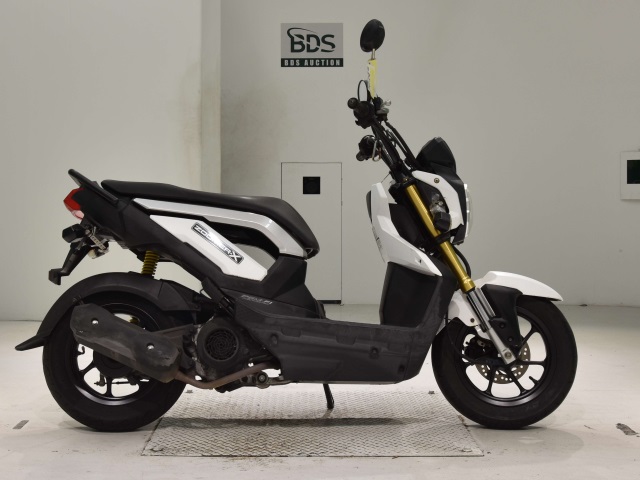 Honda ZOOMER-X 2013