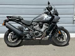 HD PAN AMERICA1250 S 2022