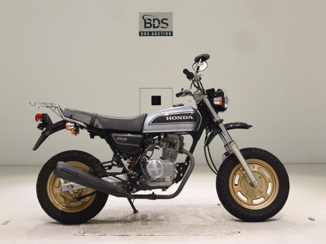 Honda APE100 2008