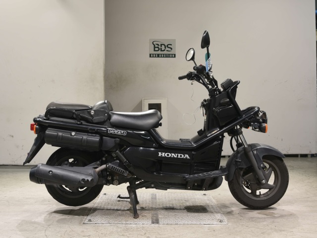 Honda PS250 BIG RUCKUS 2006